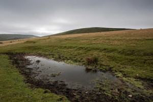 Some of the redundant ponds still collect water