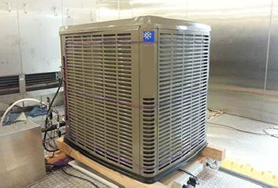 DR-55-in-comparison-test